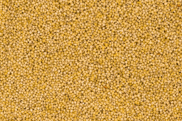 Yellow millet groats texture background