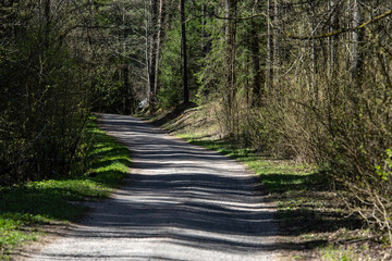 Obraz premium empty country gravel road with mud puddles and bumps