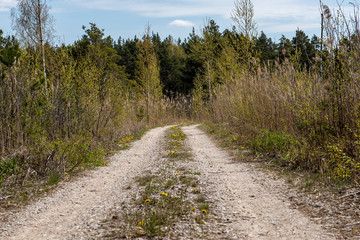 empty country gravel road with mud puddles and bumps