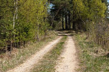 empty country gravel road with mud puddles and bumps