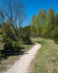 empty country gravel road with mud puddles and bumps