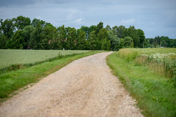 empty country gravel road with mud puddles and bumps