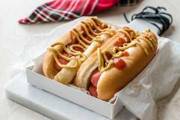 Box of Hot Dog with Ketchup and Mustard / Sausage Sandwich