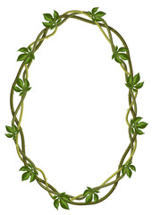 Twisted wild lianas branches frame.