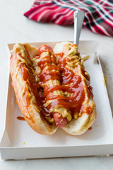 Box of Hot Dog with Ketchup and Mustard / Sausage Sandwich