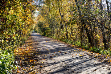 Fototapeta premium empty asphalt road outside city