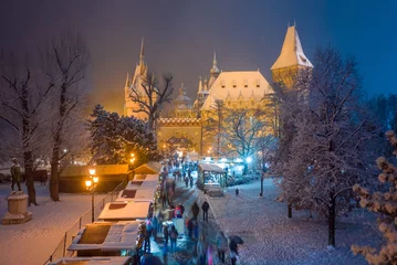  Budapest, Hungary - Christmas market in snowy City Park (Varosliget) from above at night with snowy trees and Vajdahunyad castle at background © zgphotography
