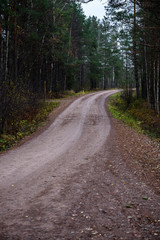 empty country gravel road with mud puddles and bumps