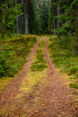 empty country gravel road with mud puddles and bumps