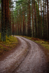 empty country gravel road with mud puddles and bumps