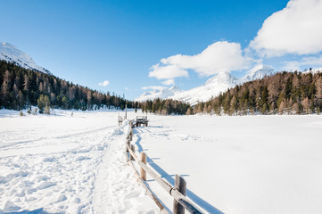 Fototapeta na wymiar St. Moritz, Stazersee, Bergsee, Stazerwald, Winter, Winterwanderung, Wintersport, Alpen, Oberengadin, Graubünden, Schweiz