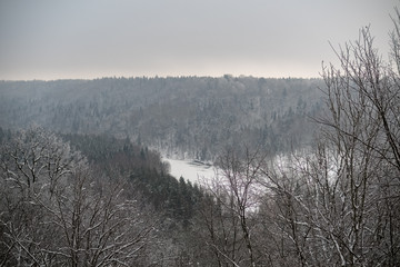 Obraz na płótnie Canvas snow covered trees in winter forest.