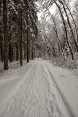 deep snow covered road in winter