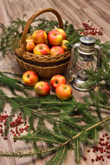 the apples in the basket