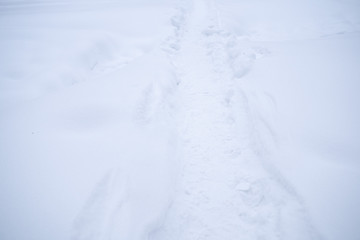 A path in pure white snow