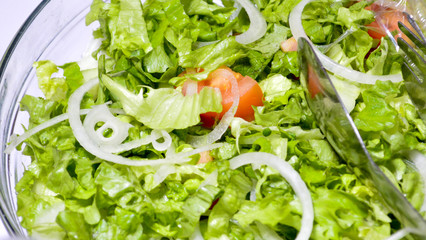 lettuce salad onion and tomato