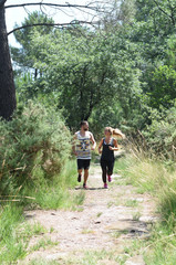Fototapete bei efototapeten.de bestellen   