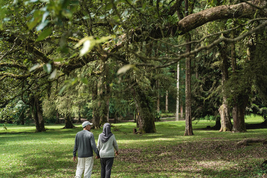 Portrait Of Asian Muslim Senior Couple Walking In The Garden Together. Shoot From Behind