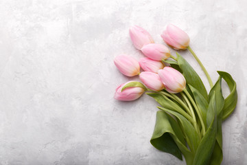 Pink tulips on grey stone background