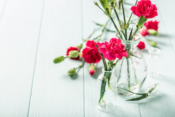 Bouquet of pink carnation in glass vase on light turquoise wooden background. Mothers day, birthday greeting card. Copy space.