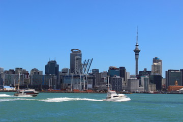 Auckland Skyline - New Zealand
