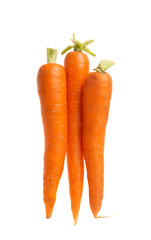 carrot isolated