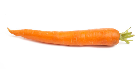 carrot isolated