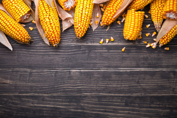 Corn Cobs On Wooden Table