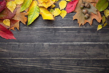 Naklejka na ściany i meble Autumn Leaves And Acorns On Wooden Table