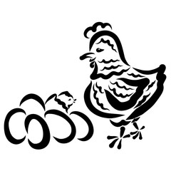Chicken and eggs, the first chick hatched