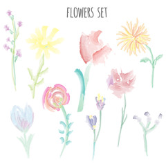 Flowers set vector