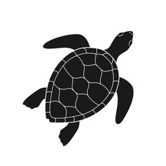 Isolated black silhouette of marine green turtle with white lines on white background. Top view. View from above.