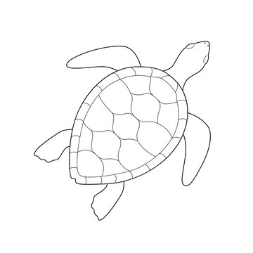 Isolated black outline monochrome sea green turtle on white background. Curve lines. Page of coloring book.