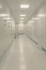 White clean corridor in scientific research lab, medical center.