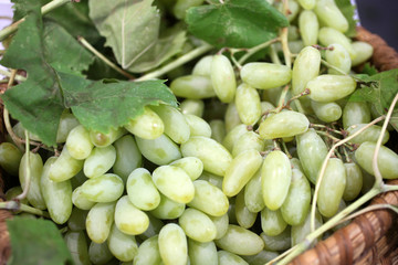 Grapes