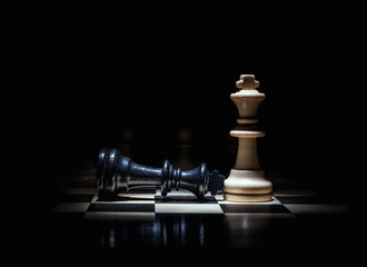 chess king lost the game