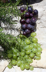 Grapes on a stone background
