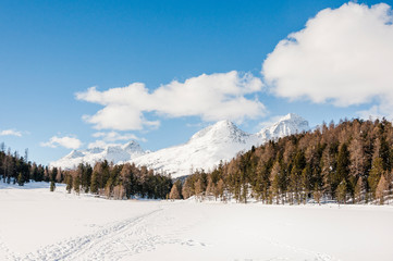 Fototapeta na wymiar St. Moritz, Stazersee, Stazerwald, Winter, Wintersport, Winterwanderweg, Piz Julier, Alpen, Oberengadin, Graubünden, Schweiz
