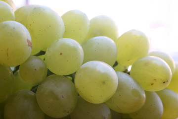 Grapes cluster