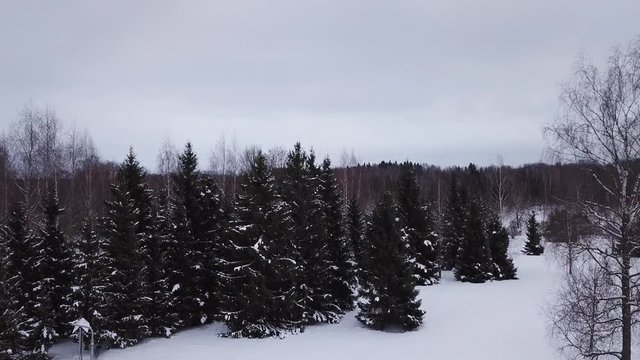 Winter landscape of the museum of I.E. Repin