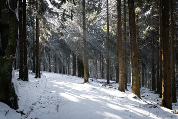 Winter in Germany on Grosse Feldberg mountain