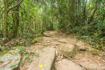 Brazilian Trail in Serra dos Orgaos Park. Petropolis - Rio de Janeiro - Brazil