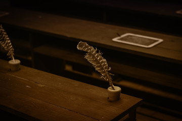 Feather and ink, writing tool in vintage class room, black and white