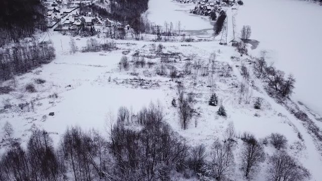 Winter landscape of the museum of I.E. Repin