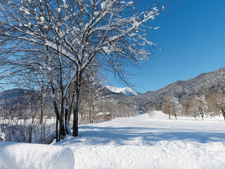 Les Alpes de Bavière. Le sommet du Hirschberg enneigé vu du village de Scharling