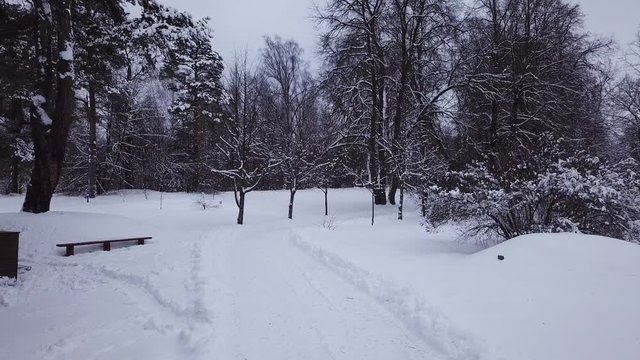 Winter landscape of the museum of I.E. Repin