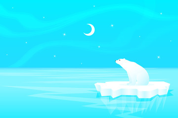 Obraz na płótnie Canvas Polar Bear on the ice floe