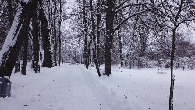 Winter landscape of the museum of I.E. Repin