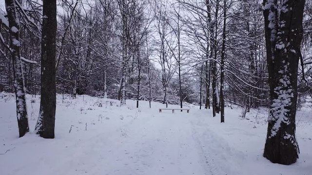 Winter landscape of the museum of I.E. Repin