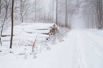 Winter im Taunus, 01.03.2019.
